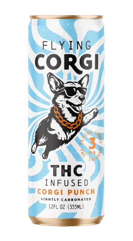 Flying Corgi Punch 3MG